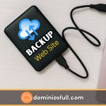 backup del sitio web